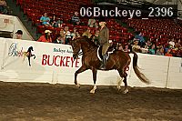 06buckeye_2396 proof