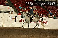 06buckeye_2397 proof