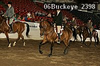 06buckeye_2398 proof