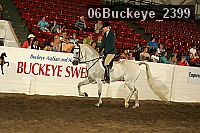 06buckeye_2399 proof