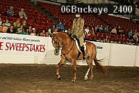 06buckeye_2400 proof