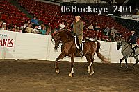 06buckeye_2401 proof
