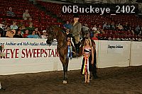 06buckeye_2402 proof