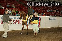 06buckeye_2403 proof