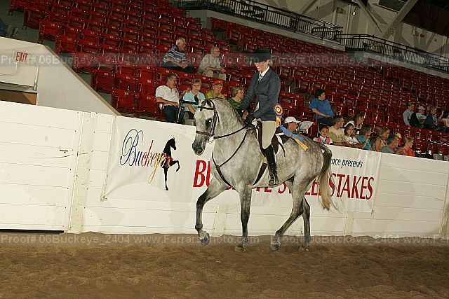 Proof 06buckeye_2404