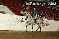 06buckeye_2404 proof