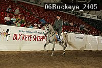 06buckeye_2405 proof