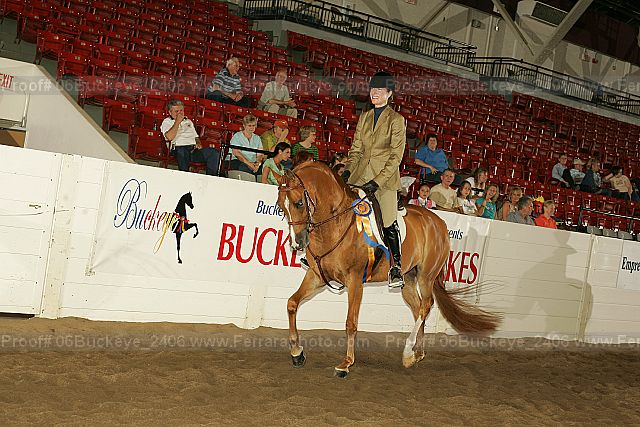 Proof 06buckeye_2406