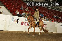 06buckeye_2406 proof