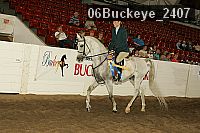 06buckeye_2407 proof