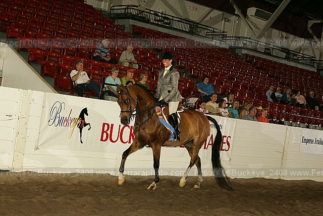Proof 06buckeye_2408