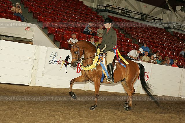 Proof 06buckeye_2411