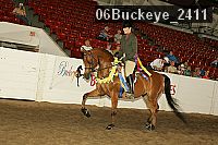 06buckeye_2411 proof