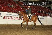 06buckeye_2414 proof