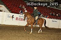 06buckeye_2415 proof