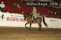 06buckeye_2416 proof