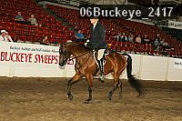 06buckeye_2417 proof