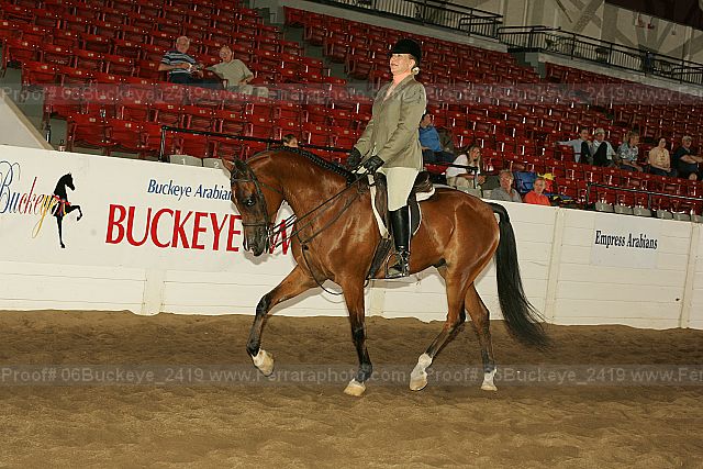 Proof 06buckeye_2419