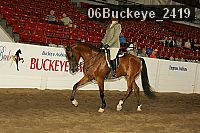 06buckeye_2419 proof