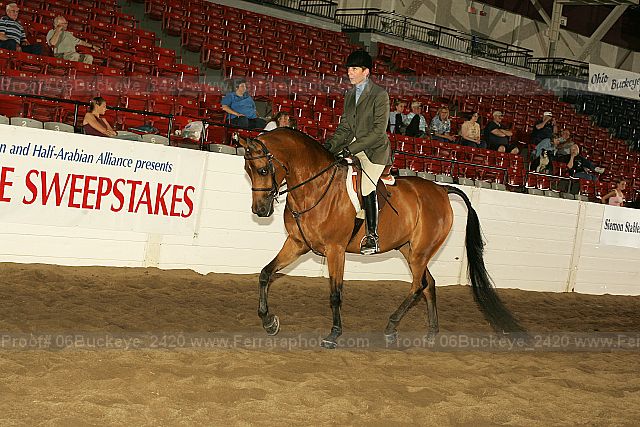 Proof 06buckeye_2420