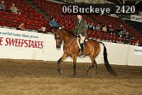 06buckeye_2420 proof