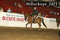 06buckeye_2421 proof