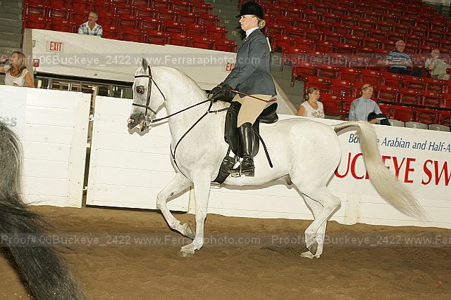 Proof 06buckeye_2422