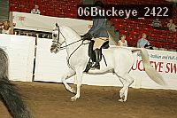 06buckeye_2422 proof