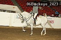 06buckeye_2423 proof