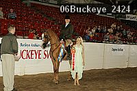 06buckeye_2424 proof