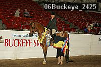 06buckeye_2425 proof