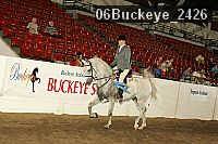 06buckeye_2426 proof