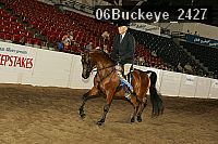 06buckeye_2427 proof