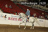 06buckeye_2428 proof