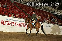 06buckeye_2429 proof