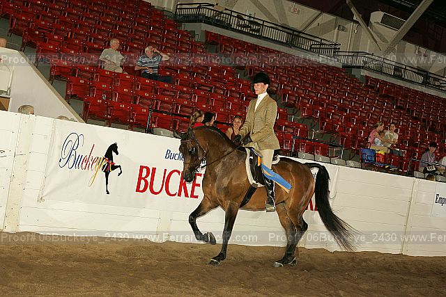 Proof 06buckeye_2430