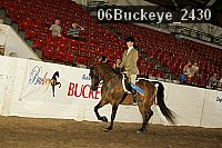 06buckeye_2430 proof