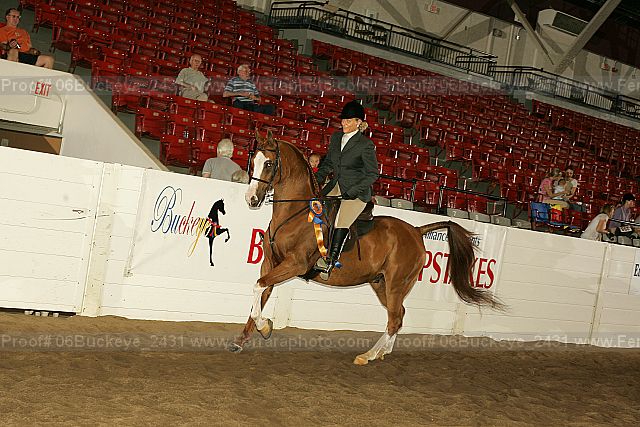 Proof 06buckeye_2431