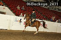 06buckeye_2431 proof