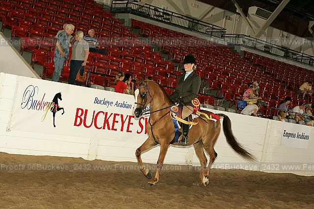 Proof 06buckeye_2432