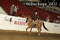 06buckeye_2432 proof