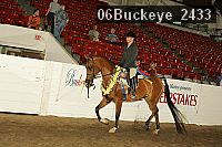 06buckeye_2433 proof