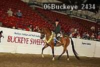 06buckeye_2434 proof