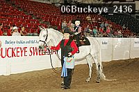 06buckeye_2436 proof