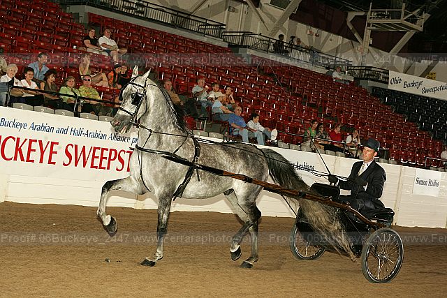 Proof 06buckeye_2447