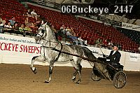 06buckeye_2447 proof