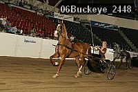 06buckeye_2448 proof