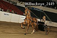 06buckeye_2449 proof