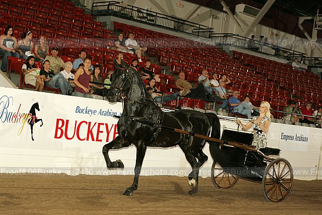 Proof 06buckeye_2450