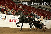 06buckeye_2450 proof